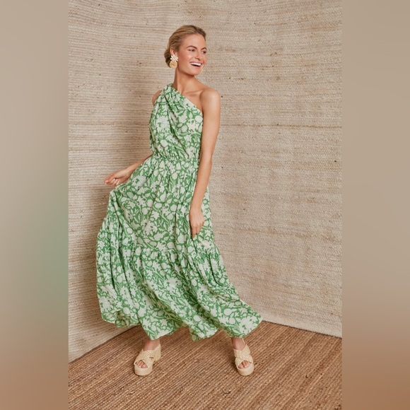Tuckernuck Exclusive Charina Sarte Green Botanica Long Dress Medium EUC - Picture 2 of 6